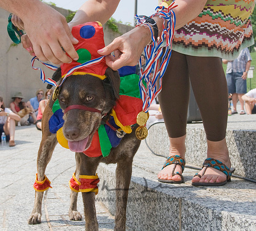 AVAM - Pets on Parade 2006