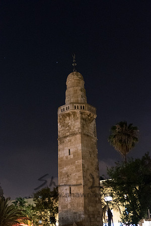 P1000103