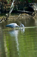 Hunting Creek 05232009_0021.jpg