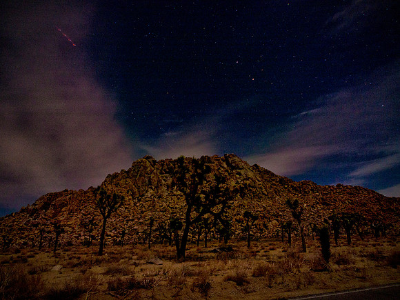 Joshua Tree 122012_20121222_0404