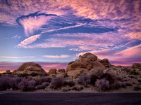 Joshua Tree 122012_20121222_0368