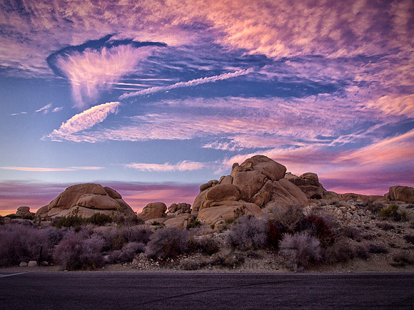 Joshua Tree 122012_20121222_0368
