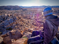 Joshua Tree 122012_20121222_0320