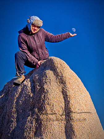 Joshua Tree 122012_20121222_0299