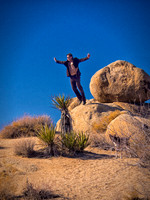 Joshua Tree 122012_20121222_0284