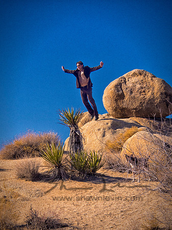 Joshua Tree 122012_20121222_0284