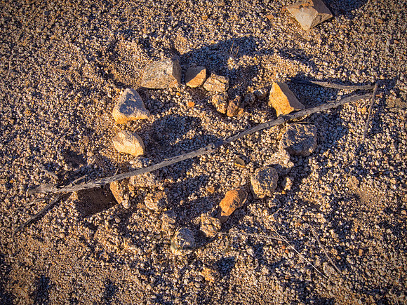 Joshua Tree 122012_20121222_0358