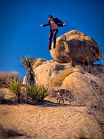 Joshua Tree 122012_20121222_0282