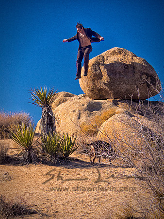 Joshua Tree 122012_20121222_0282