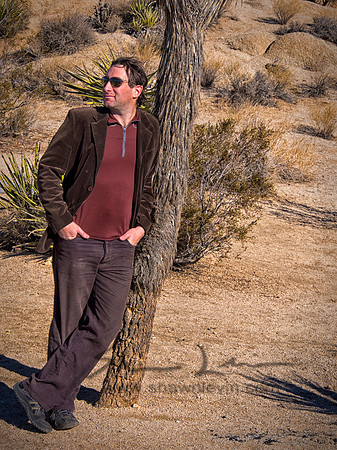 Joshua Tree 122012_20121222_0217