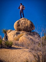 Joshua Tree 122012_20121222_0272