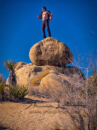 Joshua Tree 122012_20121222_0272