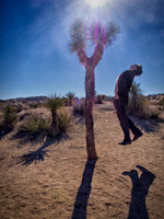 Joshua Tree 122012_20121222_0262