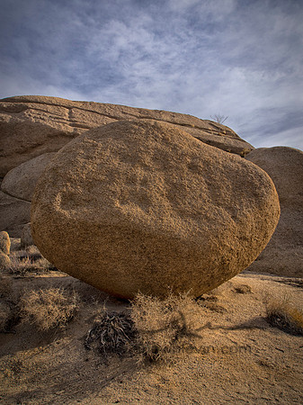 Joshua Tree 122012_20121223_0137