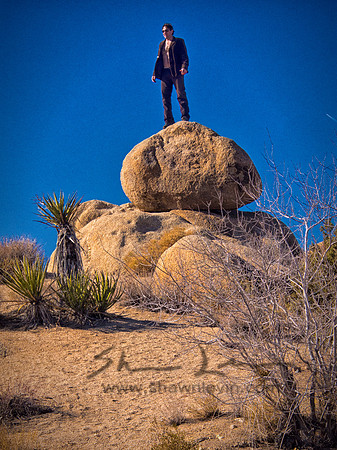 Joshua Tree 122012_20121222_0269