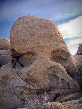 Joshua Tree 122012_20121223_0043