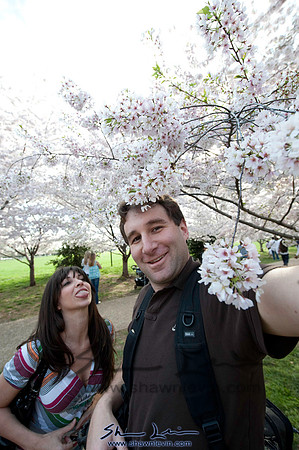Cherry Blossoms Washington DC 2009_0263.jpg