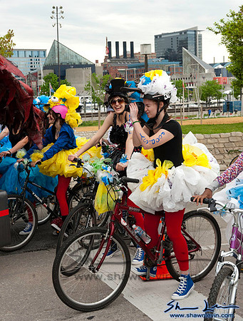 AVAM Kinetic Sculpture Race 2009_0254