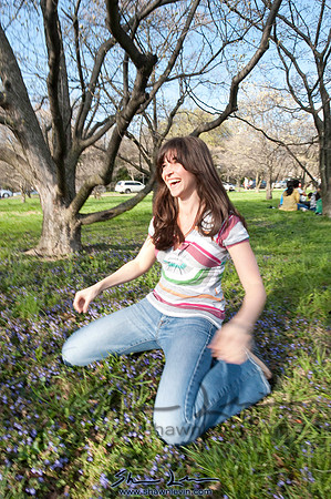 Cherry Blossoms Washington DC 2009_0398.jpg