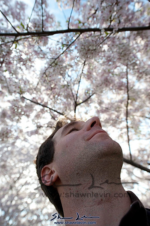 Cherry Blossoms Washington DC 2009_0300.jpg