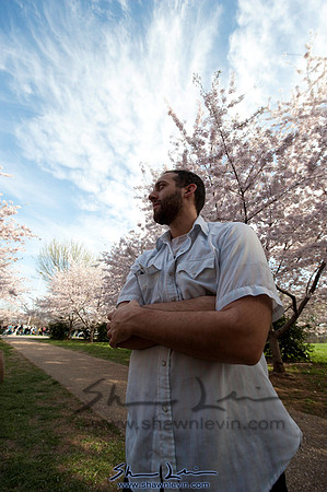 Cherry Blossoms Washington DC 2009_0319.jpg