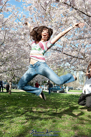 Cherry Blossoms Washington DC 2009_0228.jpg