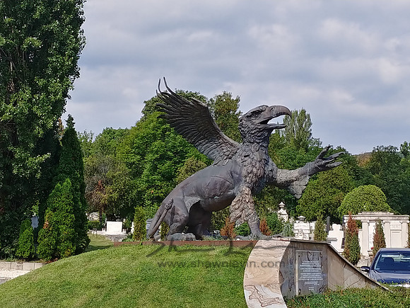 0726181006_HDR
