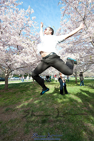 Cherry Blossoms Washington DC 2009_0256.jpg