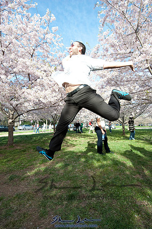 Cherry Blossoms Washington DC 2009_0257.jpg