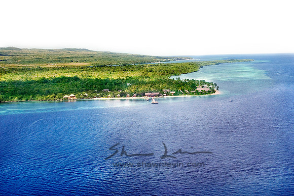 BIRD OVER WAKATOBI