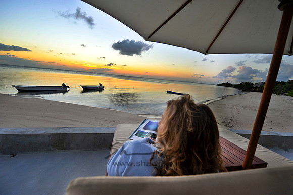 LOUNGE CHAIR READING SUNSET