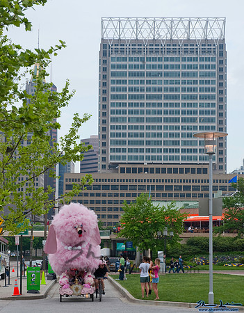 AVAM Kinetic Sculpture Race 2009_1300.jpg