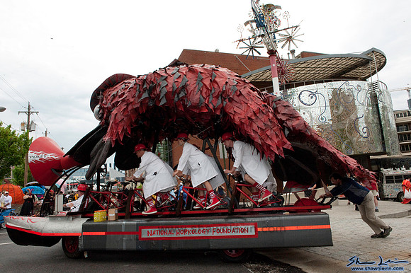 AVAM Kinetic Sculpture Race 2009_0024.jpg