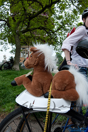 AVAM Kinetic Sculpture Race 2009_1104.jpg