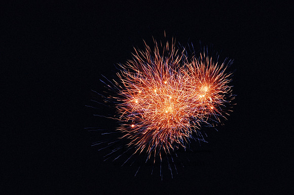 21320009