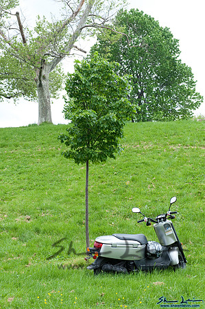 AVAM Kinetic Sculpture Race 2009_1092.jpg