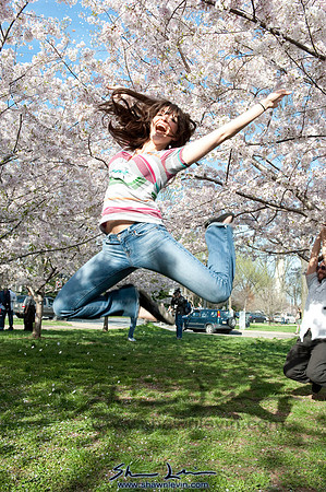 Cherry Blossoms Washington DC 2009_0229.jpg