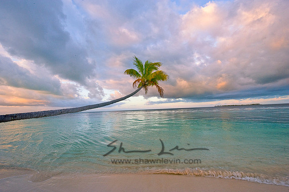 WAKATOBI SLIDESHOW 1-15