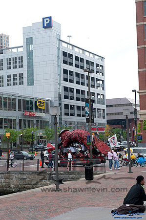 AVAM Kinetic Sculpture Race 2009_1242.jpg