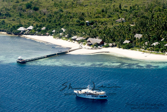 WAKATOBI FLY BY TIGHT_SDL9363