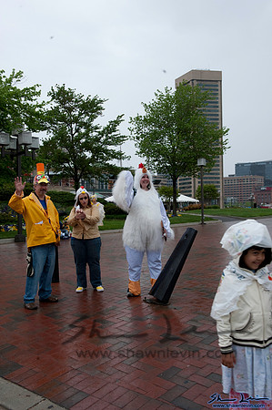 AVAM Kinetic Sculpture Race 2009_0381.jpg