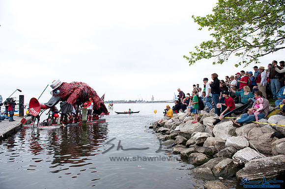 AVAM Kinetic Sculpture Race 2009_0528.jpg